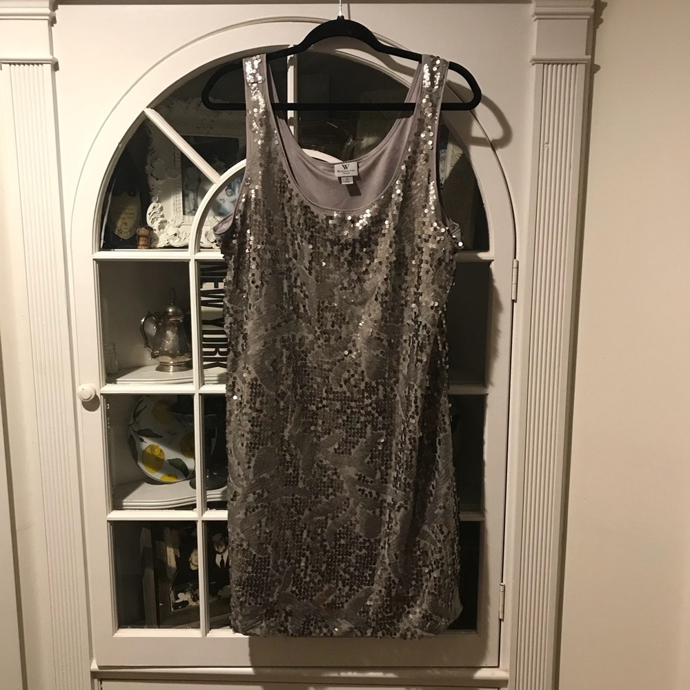 LIGHTLY WORN Silver Sequin Tank Dress!